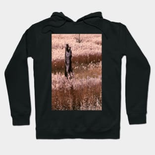 Burnt-out tree Hoodie